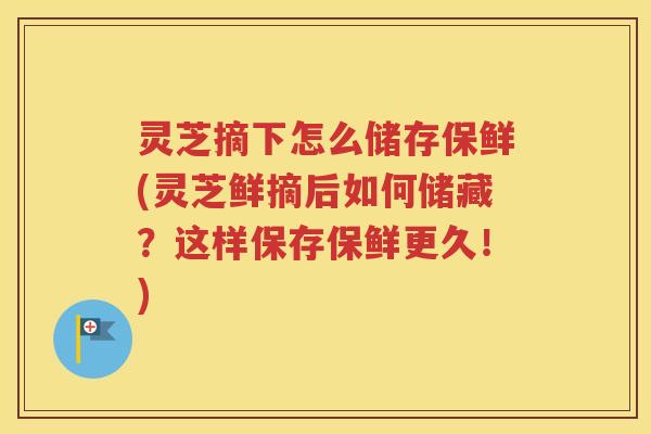 灵芝摘下怎么储存保鲜(灵芝鲜摘后如何储藏？这样保存保鲜更久！)
