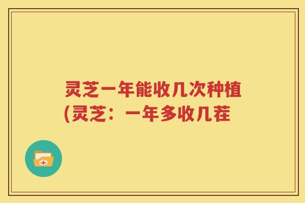 灵芝一年能收几次种植(灵芝：一年多收几茬