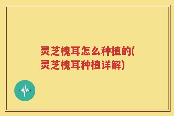 灵芝槐耳怎么种植的(灵芝槐耳种植详解)