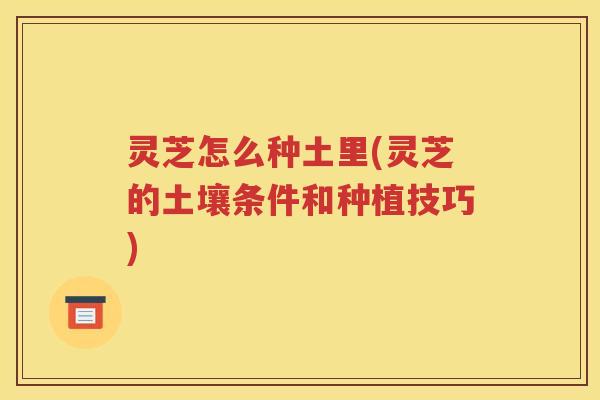 灵芝怎么种土里(灵芝的土壤条件和种植技巧)