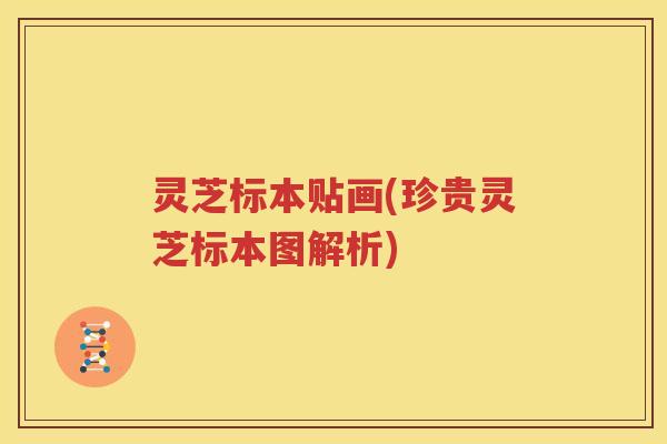 灵芝标本贴画(珍贵灵芝标本图解析)