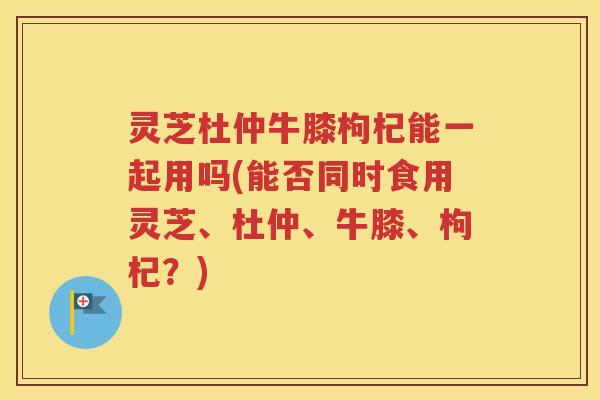 灵芝杜仲牛膝枸杞能一起用吗(能否同时食用灵芝、杜仲、牛膝、枸杞？)