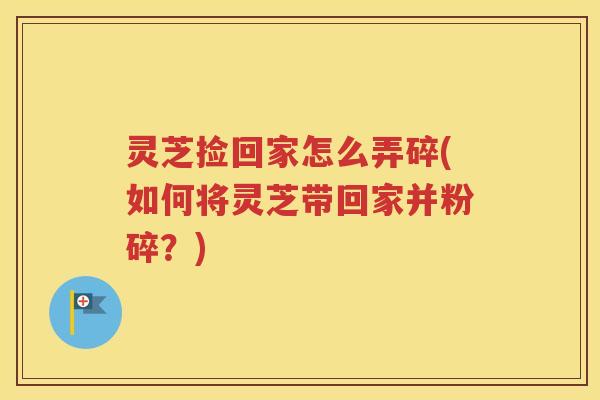 灵芝捡回家怎么弄碎(如何将灵芝带回家并粉碎？)