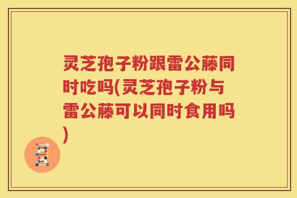 灵芝孢子粉跟雷公藤同时吃吗(灵芝孢子粉与雷公藤可以同时食用吗)