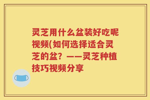 灵芝用什么盆装好吃呢视频(如何选择适合灵芝的盆？——灵芝种植技巧视频分享
