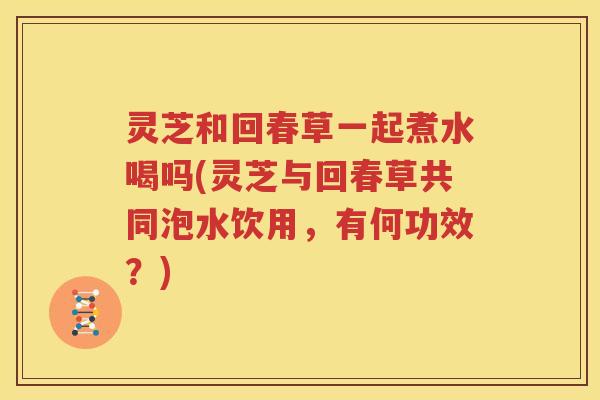灵芝和回春草一起煮水喝吗(灵芝与回春草共同泡水饮用，有何功效？)