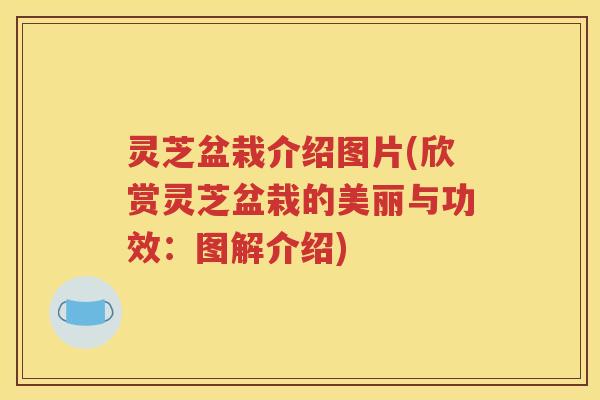 灵芝盆栽介绍图片(欣赏灵芝盆栽的美丽与功效：图解介绍)