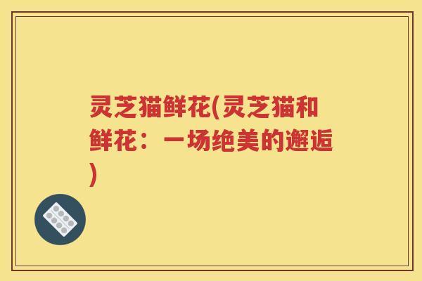 灵芝猫鲜花(灵芝猫和鲜花：一场绝美的邂逅)
