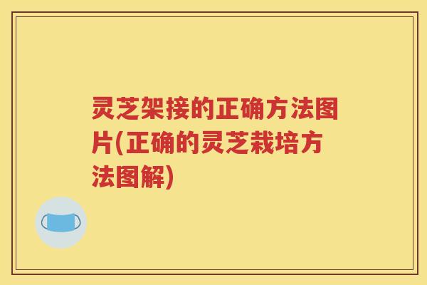 灵芝架接的正确方法图片(正确的灵芝栽培方法图解)