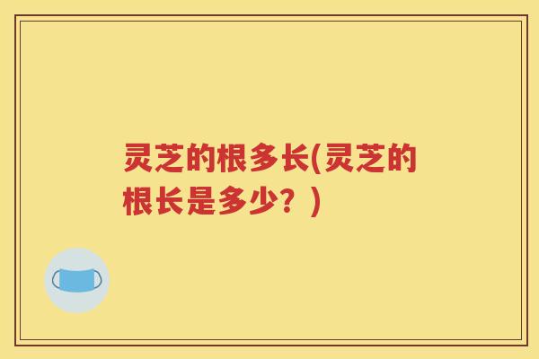 灵芝的根多长(灵芝的根长是多少？)