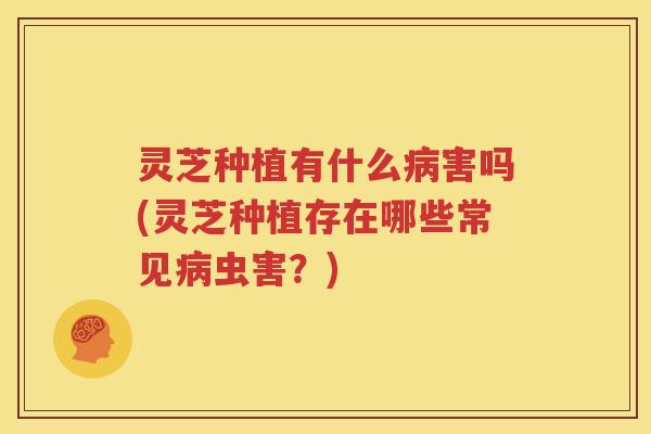 灵芝种植有什么病害吗(灵芝种植存在哪些常见病虫害？)