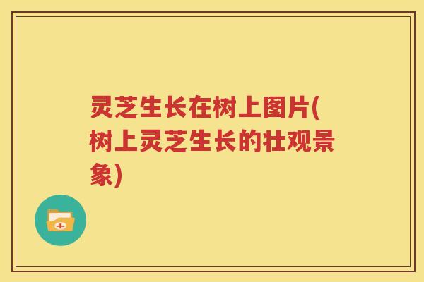 灵芝生长在树上图片(树上灵芝生长的壮观景象)