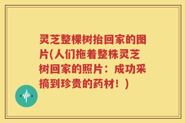 灵芝整棵树抬回家的图片(人们拖着整株灵芝树回家的照片：成功采摘到珍贵的药材！)
