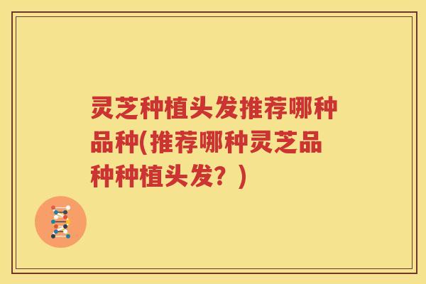 灵芝种植头发推荐哪种品种(推荐哪种灵芝品种种植头发？)