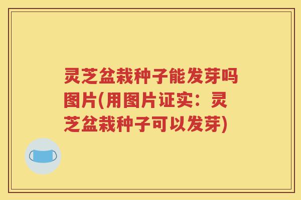 灵芝盆栽种子能发芽吗图片(用图片证实：灵芝盆栽种子可以发芽)