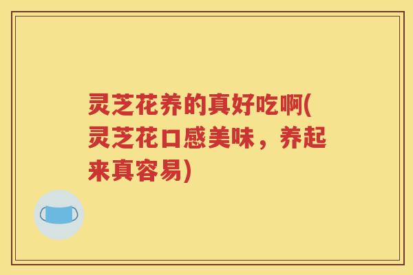灵芝花养的真好吃啊(灵芝花口感美味，养起来真容易)