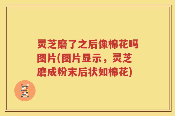 灵芝磨了之后像棉花吗图片(图片显示，灵芝磨成粉末后状如棉花)