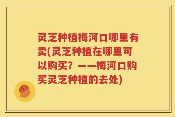 灵芝种植梅河口哪里有卖(灵芝种植在哪里可以购买？——梅河口购买灵芝种植的去处)