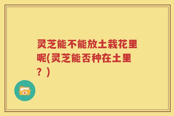 灵芝能不能放土栽花里呢(灵芝能否种在土里？)