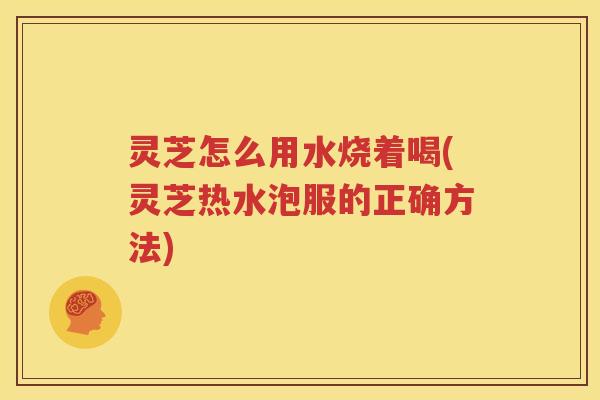 灵芝怎么用水烧着喝(灵芝热水泡服的正确方法)