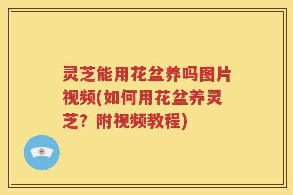 灵芝能用花盆养吗图片视频(如何用花盆养灵芝？附视频教程)