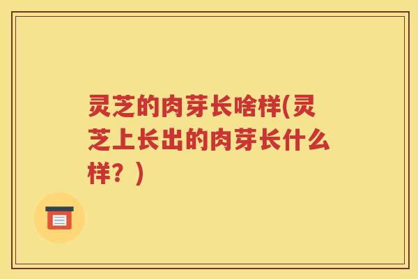 灵芝的肉芽长啥样(灵芝上长出的肉芽长什么样？)