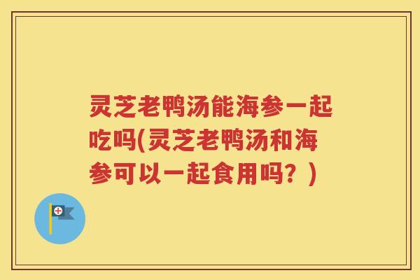灵芝老鸭汤能海参一起吃吗(灵芝老鸭汤和海参可以一起食用吗？)