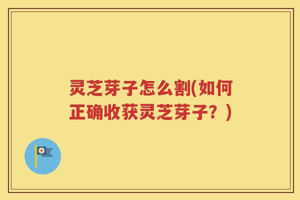 灵芝芽子怎么割(如何正确收获灵芝芽子？)