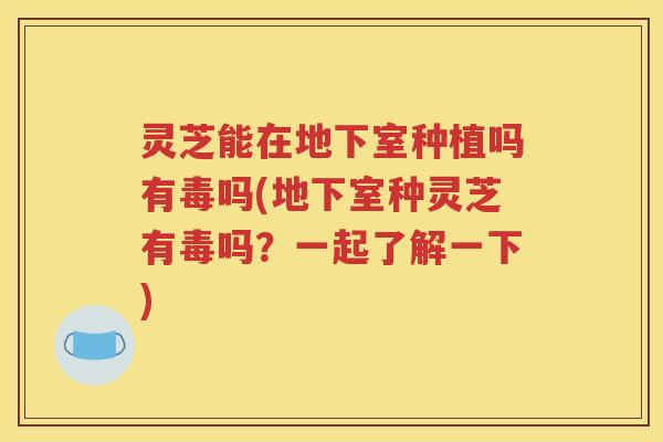 灵芝能在地下室种植吗有毒吗(地下室种灵芝有毒吗？一起了解一下)