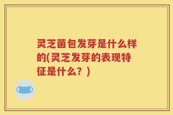 灵芝菌包发芽是什么样的(灵芝发芽的表现特征是什么？)