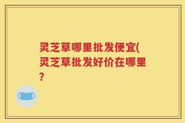 灵芝草哪里批发便宜(灵芝草批发好价在哪里？