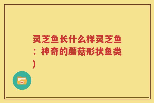 灵芝鱼长什么样灵芝鱼：神奇的蘑菇形状鱼类)