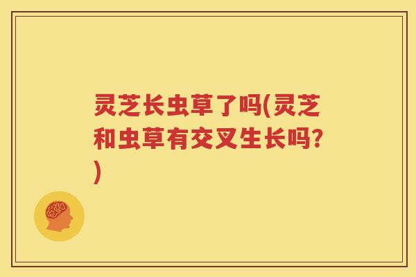 灵芝长虫草了吗(灵芝和虫草有交叉生长吗？)