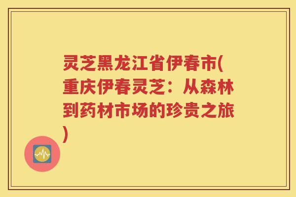 灵芝黑龙江省伊春市(重庆伊春灵芝：从森林到药材市场的珍贵之旅)