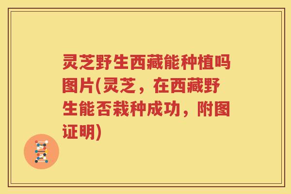 灵芝野生西藏能种植吗图片(灵芝，在西藏野生能否栽种成功，附图证明)