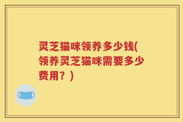 灵芝猫咪领养多少钱(领养灵芝猫咪需要多少费用？)