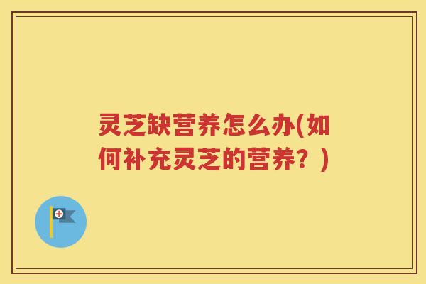 灵芝缺营养怎么办(如何补充灵芝的营养？)
