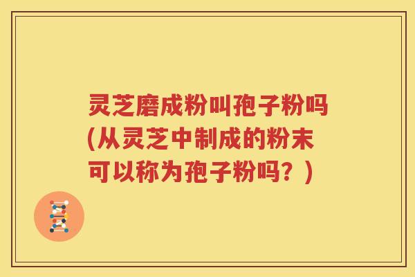 灵芝磨成粉叫孢子粉吗(从灵芝中制成的粉末可以称为孢子粉吗？)