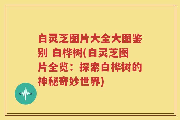 白灵芝图片大全大图鉴别 白桦树(白灵芝图片全览：探索白桦树的神秘奇妙世界)