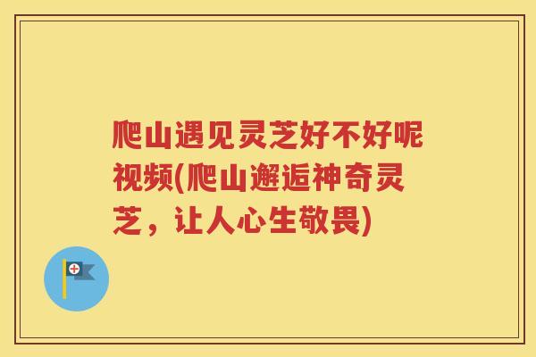 爬山遇见灵芝好不好呢视频(爬山邂逅神奇灵芝，让人心生敬畏)