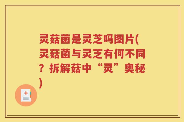 灵菇菌是灵芝吗图片(灵菇菌与灵芝有何不同？拆解菇中“灵”奥秘)