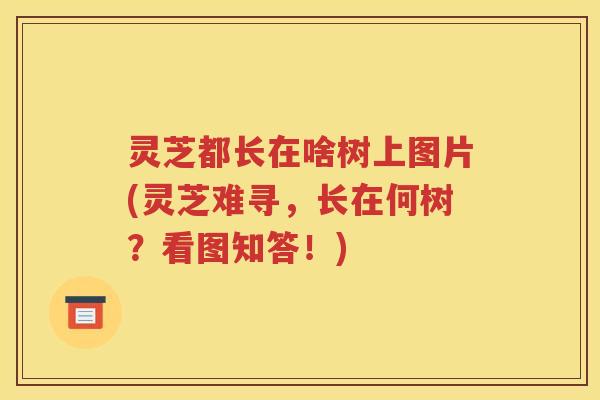 灵芝都长在啥树上图片(灵芝难寻，长在何树？看图知答！)