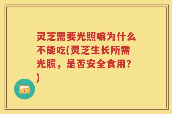 灵芝需要光照嘛为什么不能吃(灵芝生长所需光照，是否安全食用？)