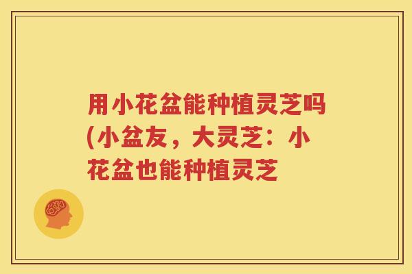 用小花盆能种植灵芝吗(小盆友，大灵芝：小花盆也能种植灵芝
