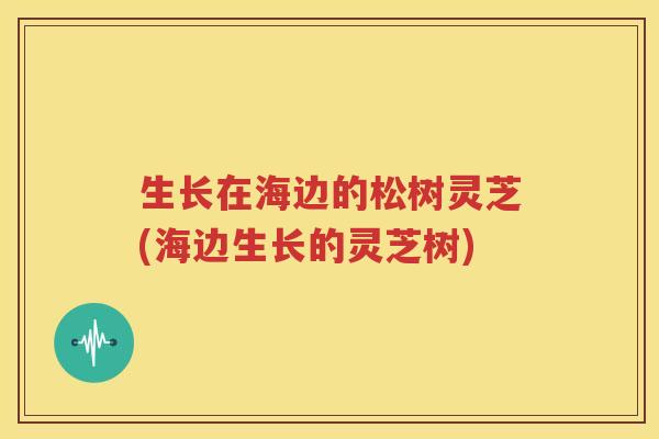 生长在海边的松树灵芝(海边生长的灵芝树)