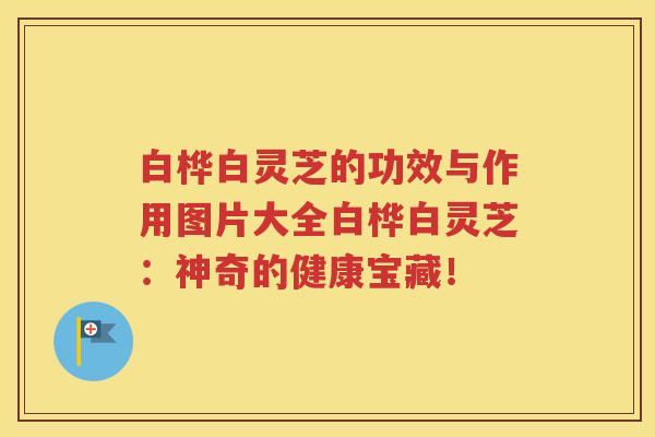 白桦白灵芝的功效与作用图片大全白桦白灵芝：神奇的健康宝藏！