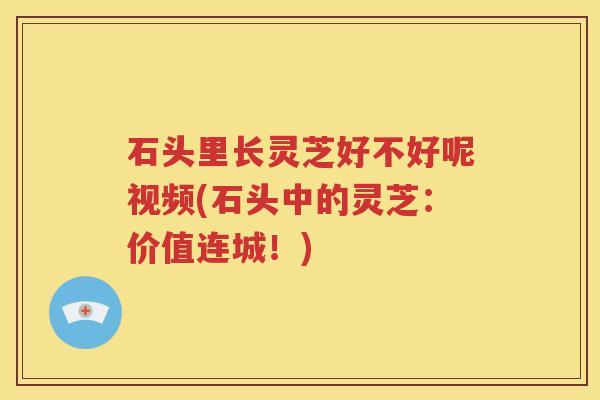 石头里长灵芝好不好呢视频(石头中的灵芝：价值连城！)