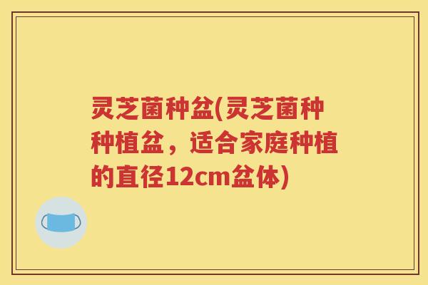 灵芝菌种盆(灵芝菌种种植盆，适合家庭种植的直径12cm盆体)