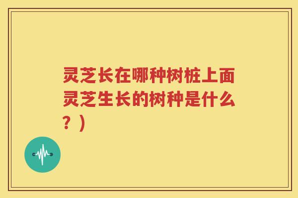 灵芝长在哪种树桩上面灵芝生长的树种是什么？)