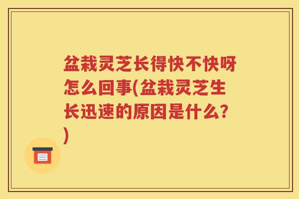 盆栽灵芝长得快不快呀怎么回事(盆栽灵芝生长迅速的原因是什么？)